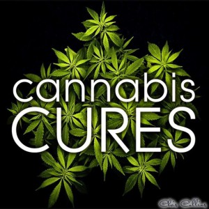 61c64b6b8793c95264baec7649add9f2 61c64b6b8793c95264baec7649add9f2